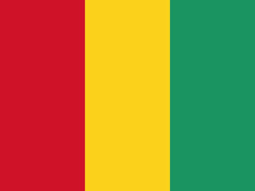 Flagge von Guinea /Flag of Guinea
